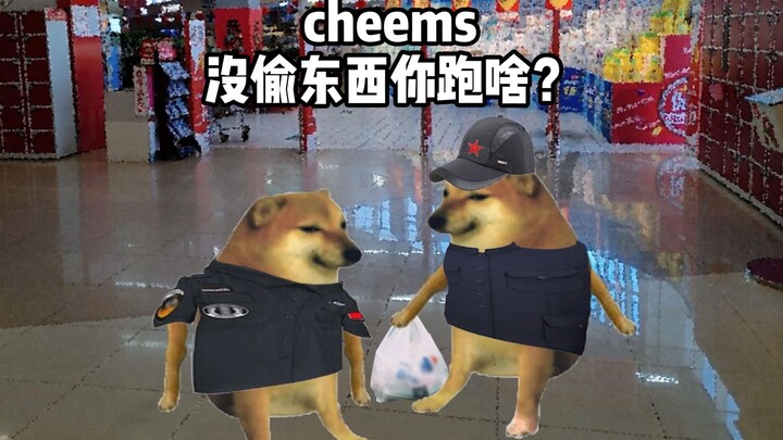 Cheems didn’t steal anything—why are you running?