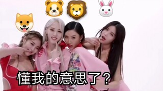 【مامامو】 نسخة الترجمة المربكة بتتابع الكلمات من الكلب بيبي