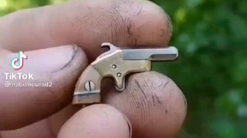 world smallest pistol