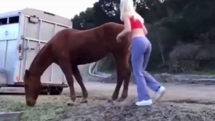 الحصان لم يتفاعل بعد، هذا الشخص سريع حقًا