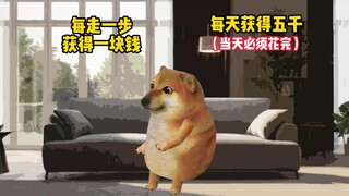 这两个你会怎么选？