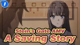 [Stein's Gate AMV / Sēsfun buta Yaro] A Saving Story About Two Girls_1