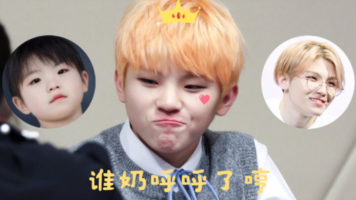 【Woozi Lee Ji-hoon】Chuyên đề giọng ngọt ngào: Nói ai đây? Nói ai mà nũng nịu thế này!