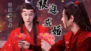忘羡 误闯仙督房，被迫成婚③