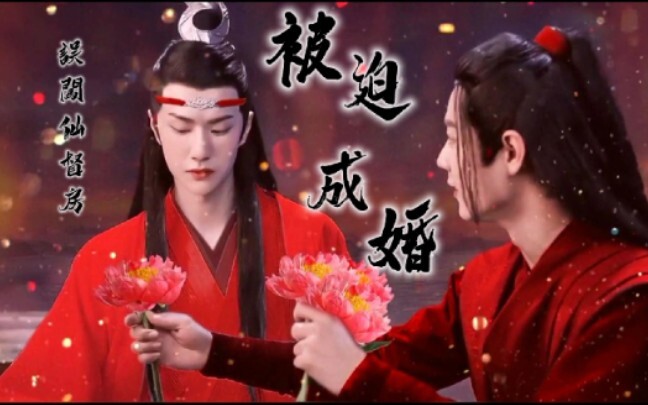 忘羡 误闯仙督房，被迫成婚③