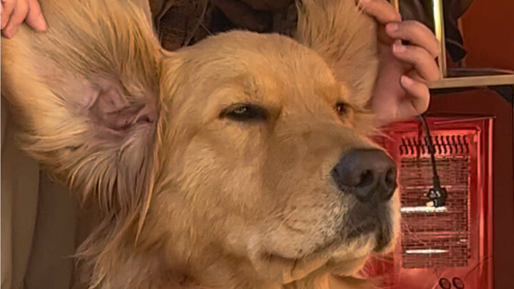 Saya dan ibu saya yang sedang dalam perjalanan bisnis