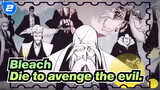 Bleach|I would rather die to avenge the evil.This is Bleach_2