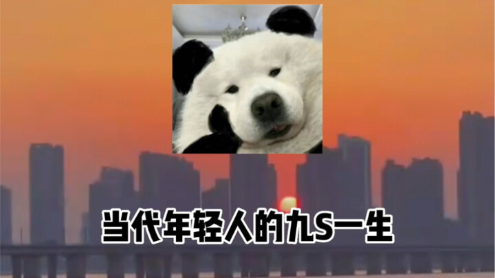 Cuộc đời 9S của giới trẻ ngày nay