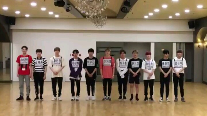 【WANNA•ONE】《Light》练习室版来了！@190603解散后的第154天