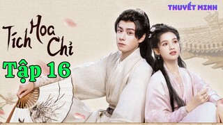 TÍCH HOA CHỈ - Tập 16 (Thuyết Minh) | Trương Tịnh Nghi & Hồ Nhất Thiên