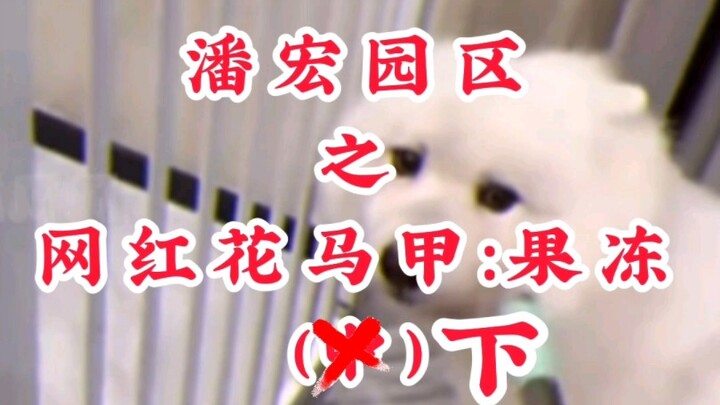 สวนพานหง: เสื้อกั๊กดอกไม้ฮิตในโซเชียล — วุ้น (ตอนกลาง ❌) ตอนที่สอง