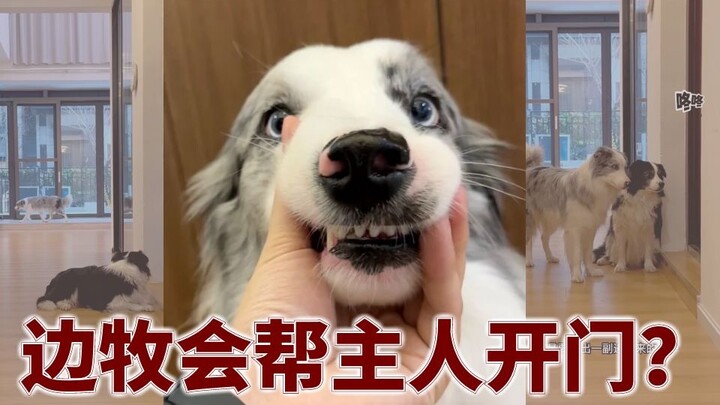 Vẫn là cậu thôi, Oscar!