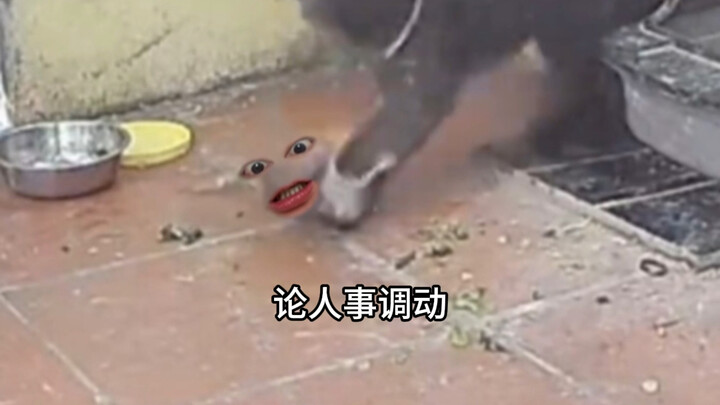 “ความสำคัญของการประกาศการย้ายตำแหน่งบุคลากร”