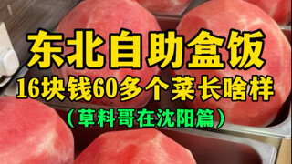 Seperti apa kotak makan siang swalayan seharga 16 RMB di Tiongkok Timur Laut dengan lebih dari 60 hi