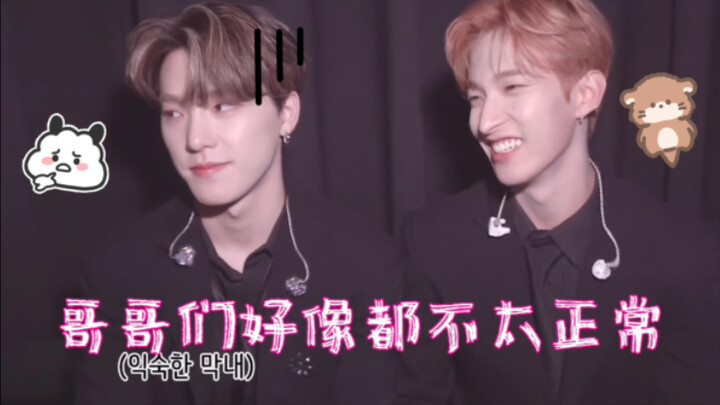 【SEVENTEEN】Chan: Kakak-kakakku sepertinya agak tidak waras | Sang maknae justru paling tenang dan bi