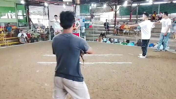 Win!     Albert Del Rosario 🐔🐔