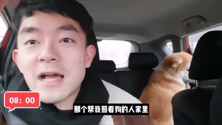 فِلُوغ «يوميات أب مسن مقيم في الخارج».. الكواليس وراء الجمع بين تربية الكلاب والإقامة في الخارج