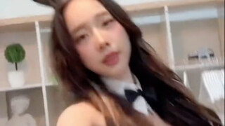 午休前的兔女郎