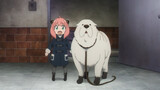 SPY×FAMILY (Season 2) Aniya and the big dog meet for the first time