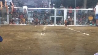 unstoppable bulik