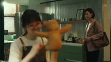 drama korea komedi