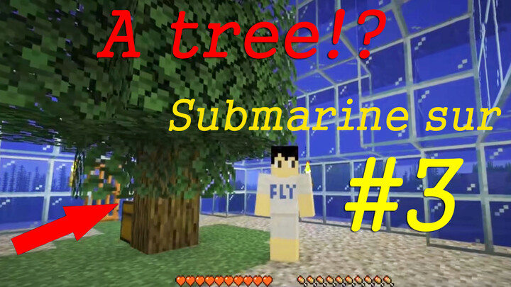 [Game]How to Survive in a World with One Tree in Minecraft