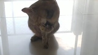 ไมค์ไม่ชัด