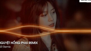 Mixtape Vinahouse 2022 - Nguyệt Hồng Phai Remix - Remix Hot Tik Tok 3