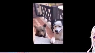 โลลิญี่ปุ่นตะลึงหลังดู "แม่พาเพื่อนกลับบ้าน" พวกเธอเอาอะไรกลับมาบ้าง?