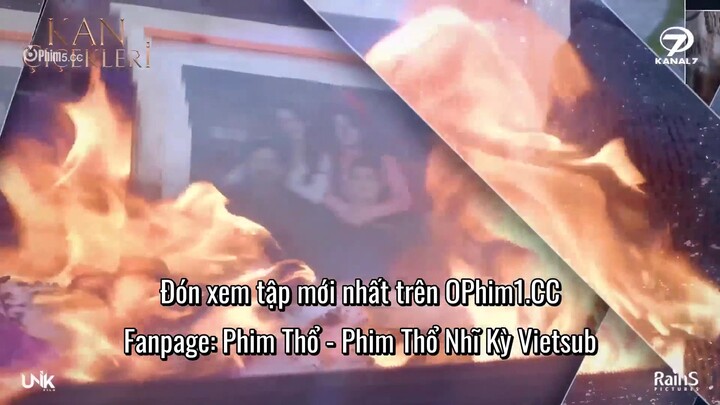 Hoa Máu EP 22 [Sub Việt]