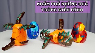 LẦN ĐẦU BÓC NHỮNG QUẢ TRỨNG KHỦNG LONG BIẾN HÌNH THẬT BẤT NGỜ