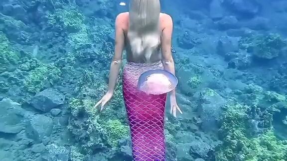 mermaid