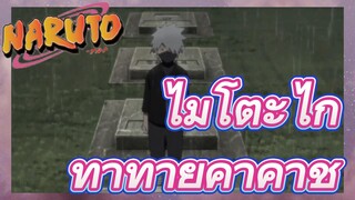 ไมโตะไก ท้าทายคาคาชิ