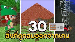 30 สิ่งที่ถูกลบออกจากมายคราฟ (2009-2022)