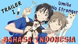 【DUB INDO】 UMIBE NO ETRANGER - TRAILER 1 Fandub Indo