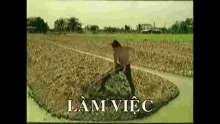 Đăng cho Vui Vẻ