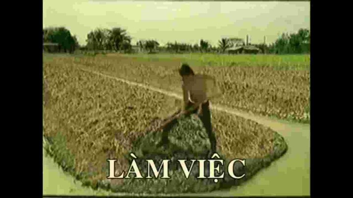 Đăng cho Vui Vẻ