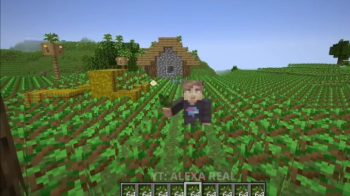 MrBeast: Saya menyumbangkan “beberapa” pohon untuk para warga desa yang miskin