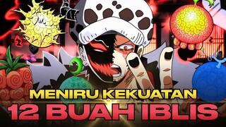 12 Kekuatan Buah Iblis yang Bisa Ditiru oleh Ope Ope no Mi Trafalgar Law