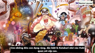 Nestor Lauver - Review -  Dự Đoán Sức Mạnh  Của Các Đội Trưởng Tứ Hoàng #anime #schooltime