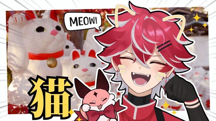 我去了有超多可爱猫猫，一定能实现愿望的日本猫神社！