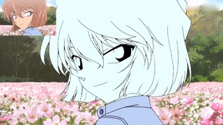[Haibara Ai] Melihat kembali di antara bunga |. Gaya lukisan Aono Hiroshi |. Jika tahun lalu adalah 