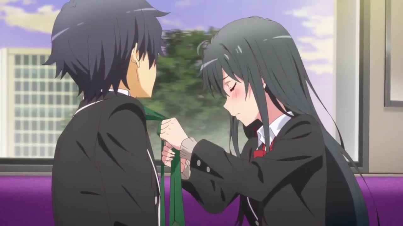 Hachiman's Dinner with Yukino's Family  Oregairu : My Youth Romantic  Comedy Is Wrong, as I Expected 