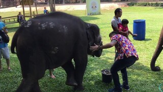 วันสงกรานต์ปีที่แล้วประทับใจมากๆคิดถึงวันเก่าไป