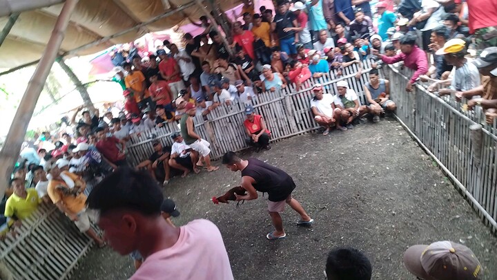 Win Tayo aling buyugin sailing palaki.