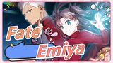 [Fate] [The Book of Heroic Spirits] Emiya