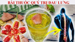 Không thể tin được HẾT HẲN ĐAU NHỨC XƯƠNG KHỚP,  THOÁI HÓA KHỚP - BIẾT SỚM ĐỂ SỐNG THỌ 100 TUỔI