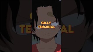 Gray Terminal #onepiece #anime #shorts