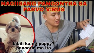 PAANO MAG-ALAGA NG PUPPY | PARVO VIRUS WALANG GAMOT