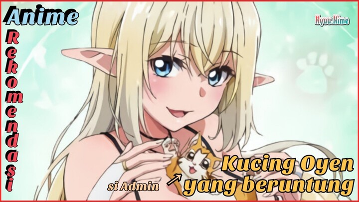 Alasan kenapa banyak orang nanyain "tutor jadi kucing"